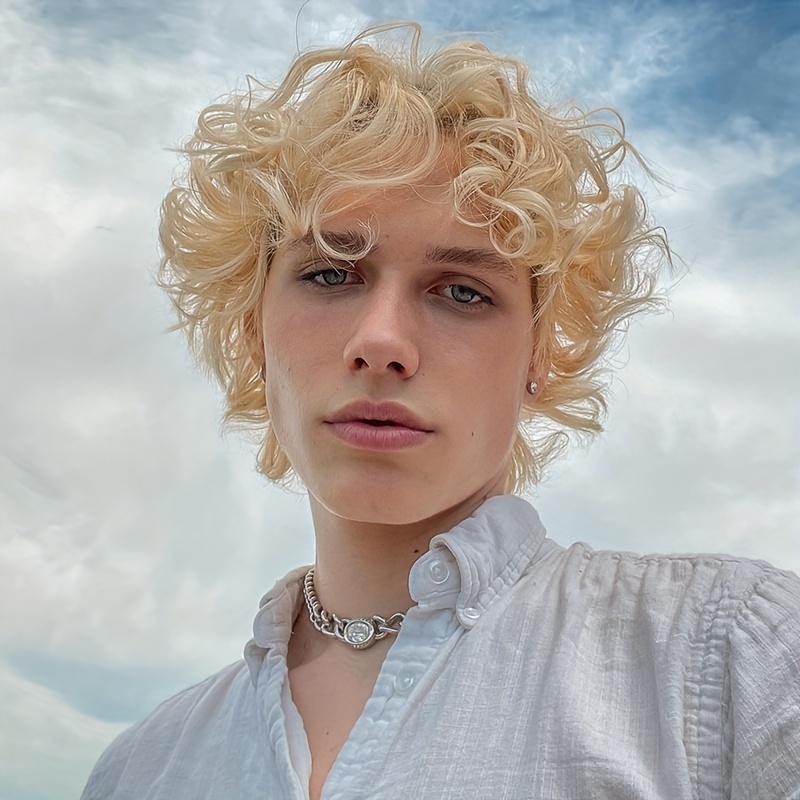 Mens Blonde Wig Short Wavy Flu - Synthetic Wigs 评论和价格